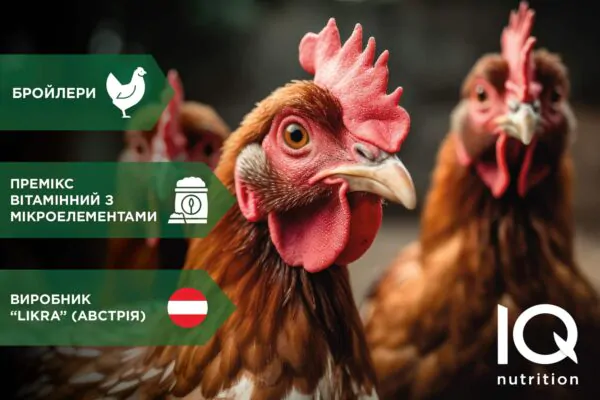 Prod.card_poultry-03