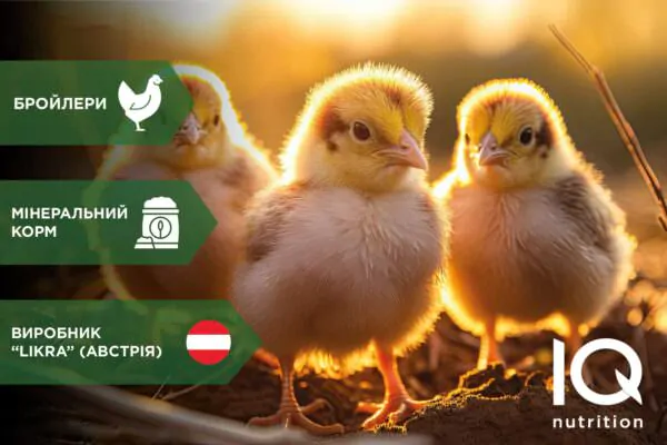 Prod.card_poultry-05