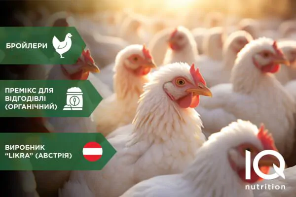 Prod.card_poultry-06